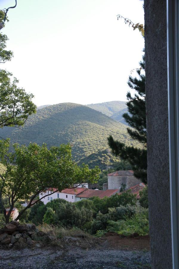 Gites-Terroirs-Occitanie Felluns Exteriör bild